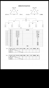 3/6 スポルトジャパンCUP
